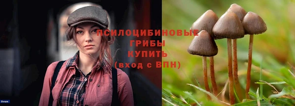 индика Абдулино