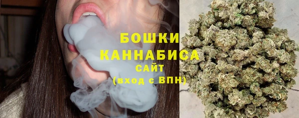 прущий лед Абаза