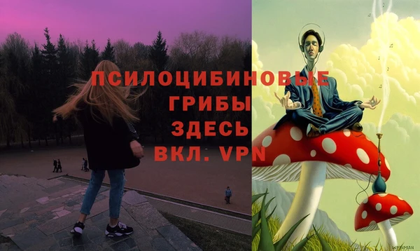 индика Абдулино
