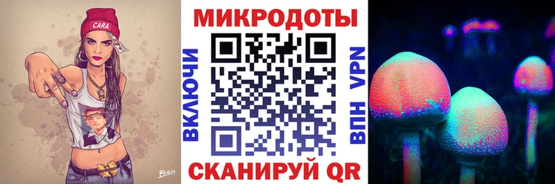 hydra ССЫЛКА Яровое Псилоцибиновые грибы ЛСД